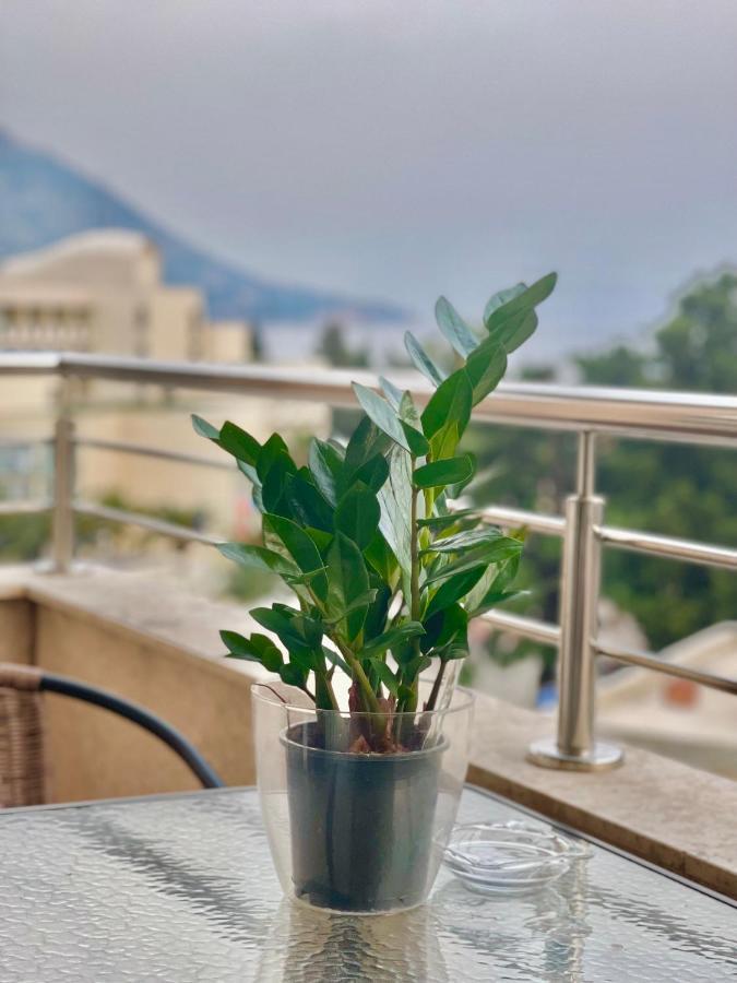 Apartments Boreta Becici Budva Exterior foto