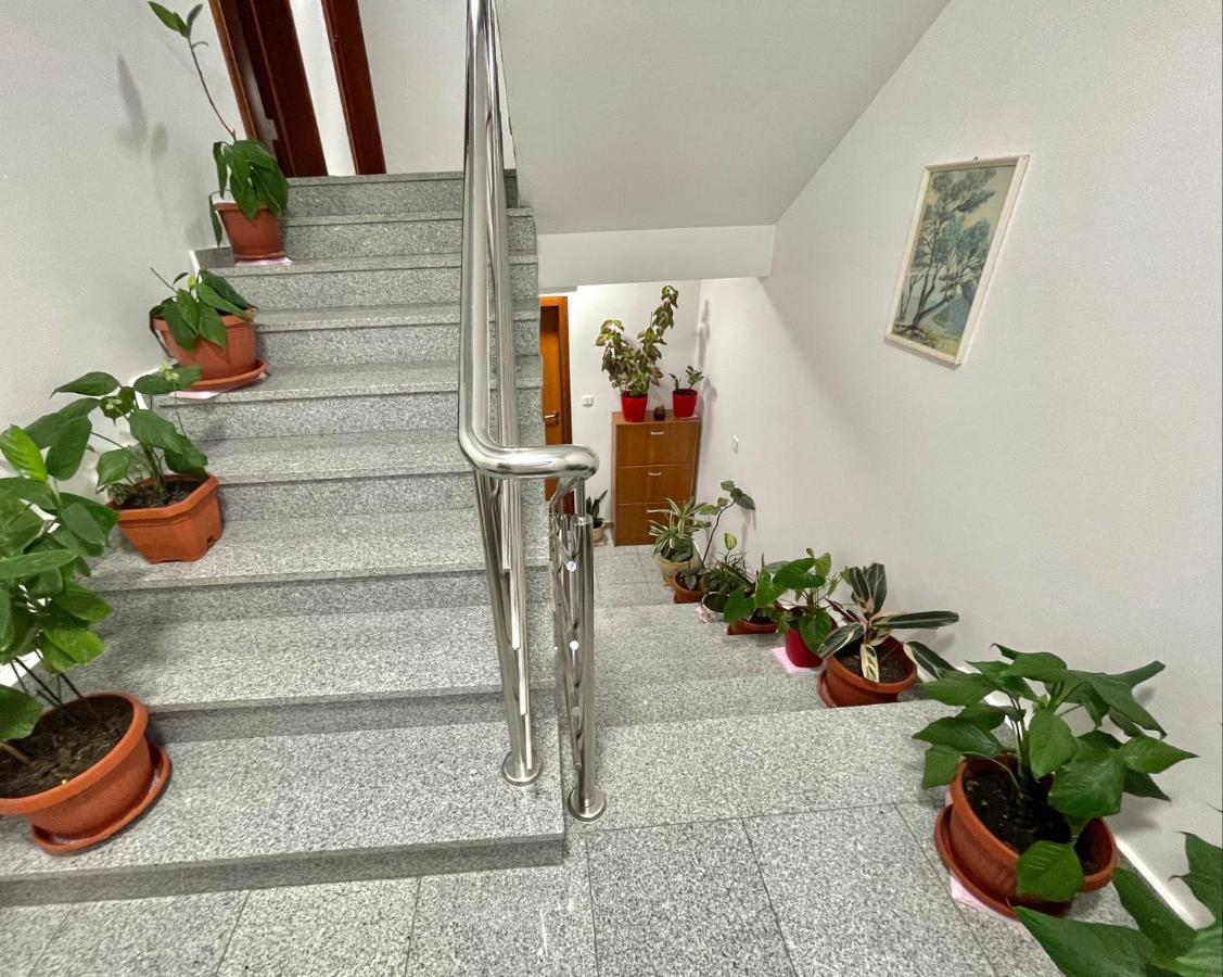 Apartments Boreta Becici Budva Exterior foto