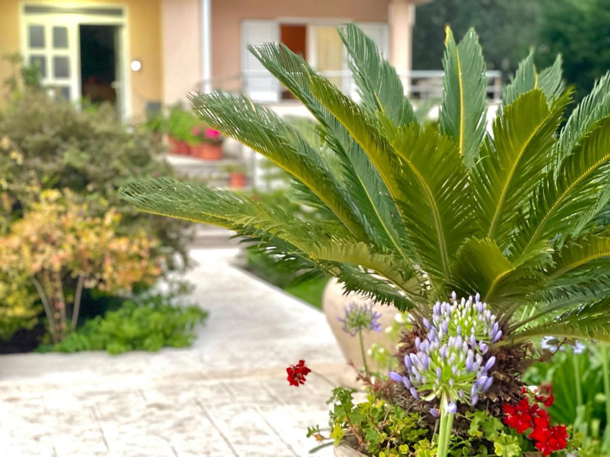 Apartments Boreta Becici Budva Exterior foto